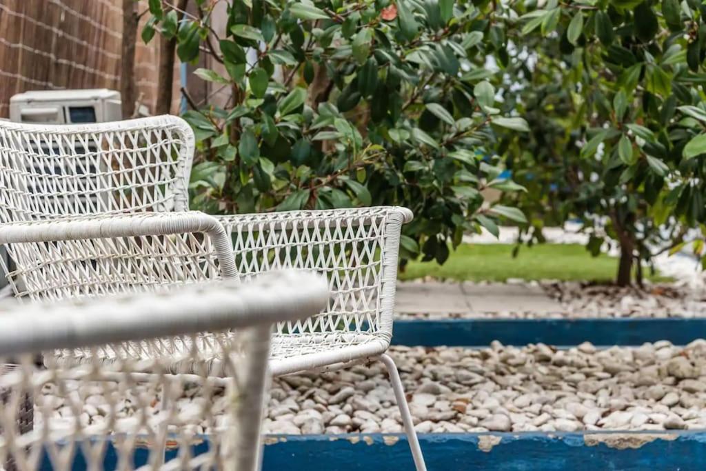 Inlapa Studio IV Porto Garden View Ngoại thất bức ảnh